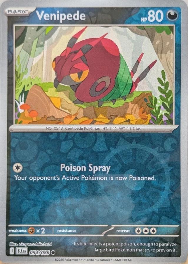 Black Bolt Venipede [Reverse] Pokémon card